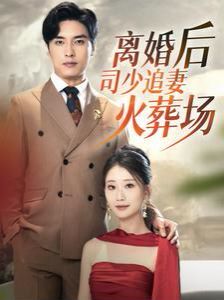 离婚后司少追妻火葬场第1-20集