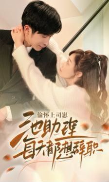 偷怀上司崽池助理每天都想辞职第41-60集