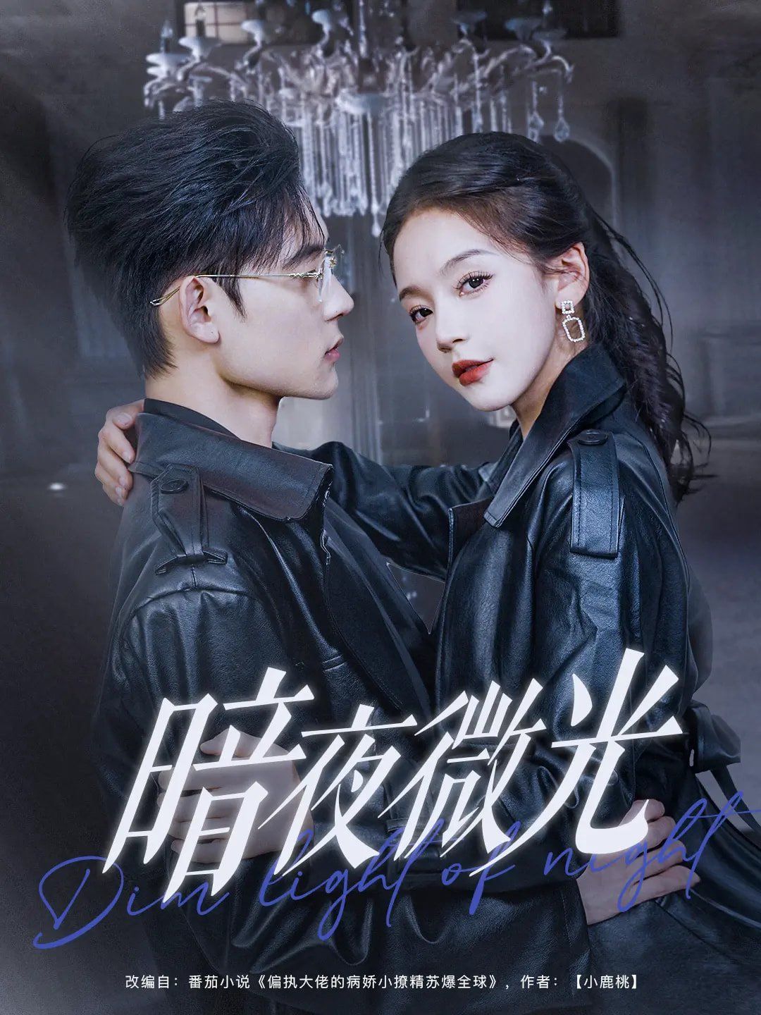 暗夜微光第1-20集