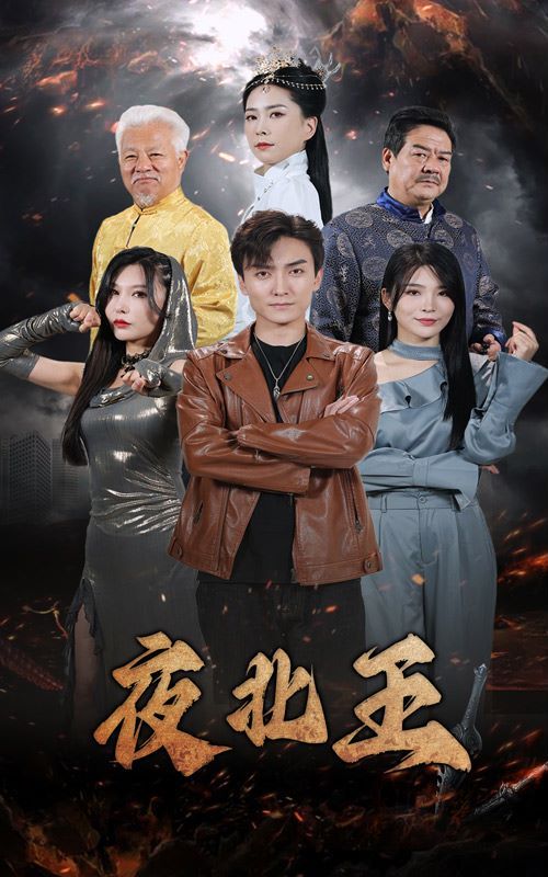 夜北王第21-40集