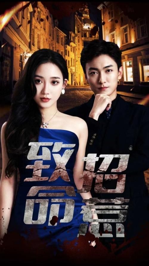 致命招惹第31-60集