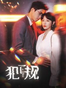 犯了规第81-96集完结(大结局)