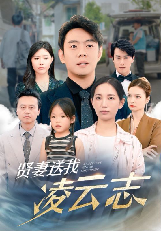 贤妻送我凌云志第1-20集