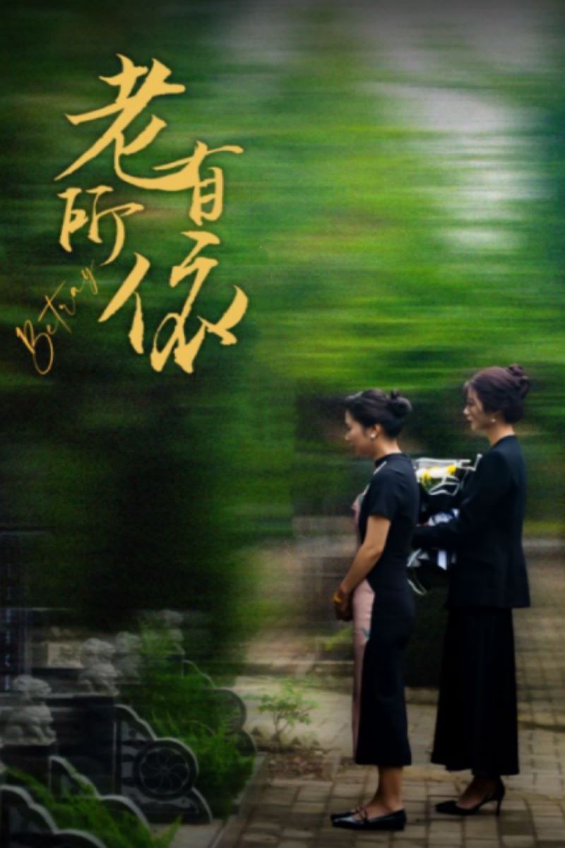 老有所依第1-20集