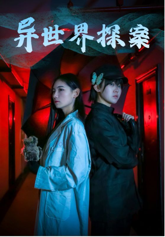 异世界探案第21-40集完结(大结局)