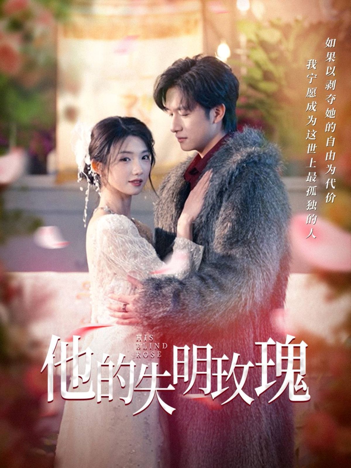 他的失明玫瑰第41-70集完结(大结局)