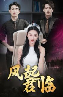 风起君临第21-40集