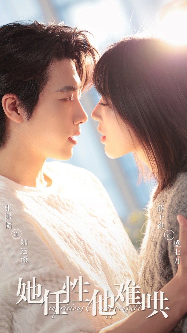 她任性他难哄第21-40集