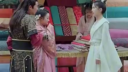 欢颜知君心第41-60集