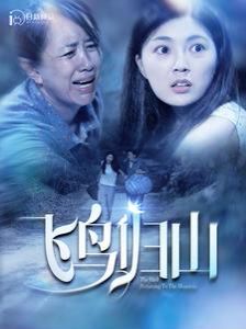 飞鸟归山第12集