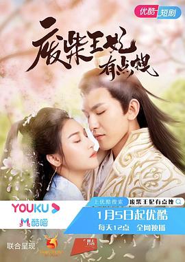 废柴王妃有点拽第12集