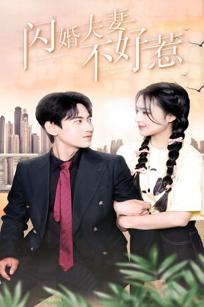 闪婚夫妻不好惹第21-40集