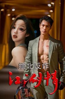 缅北反诈江湖情第21-40集