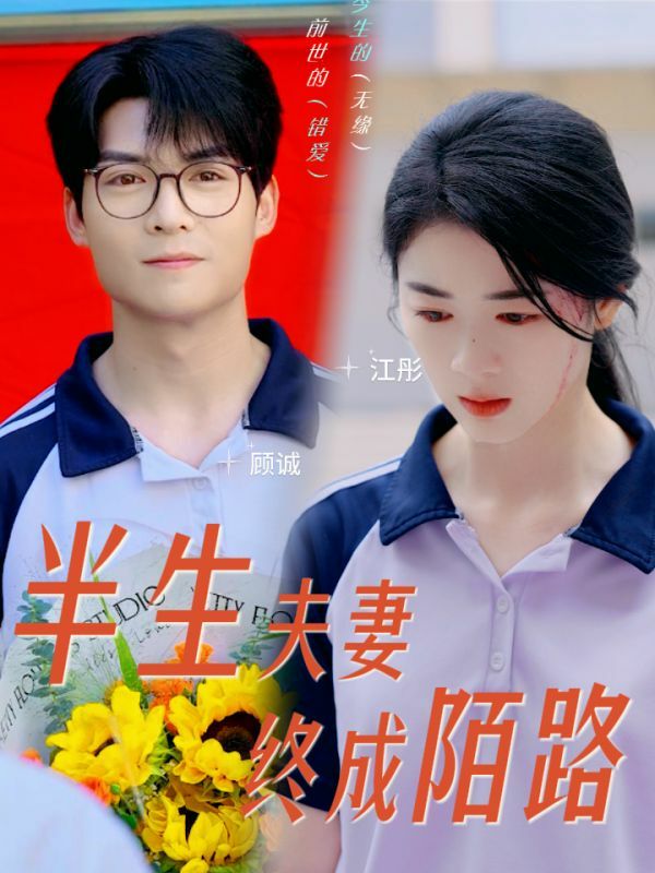 半生夫妻终成陌路第1-20集