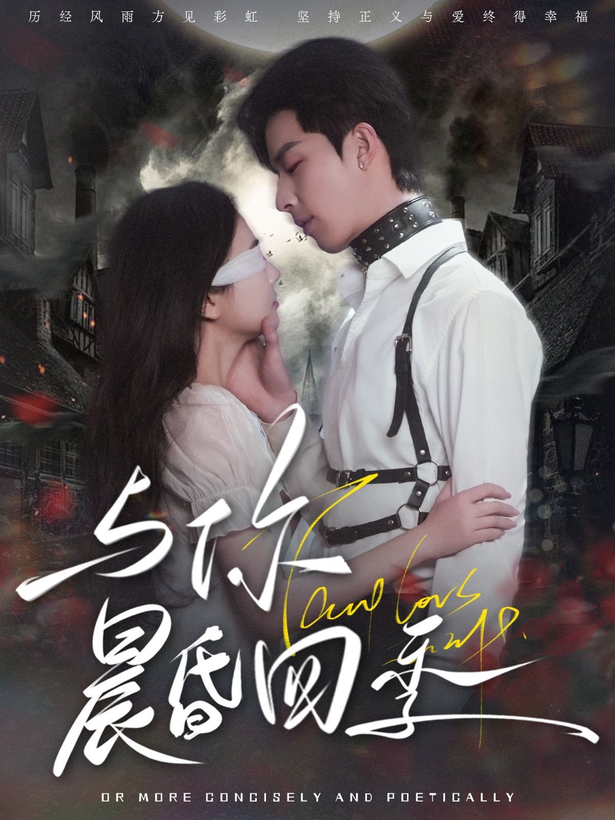 与你晨昏四季第21-40集