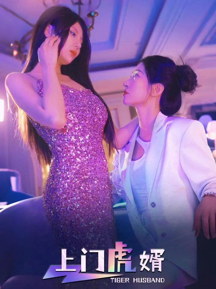 上门虎婿第31-60集