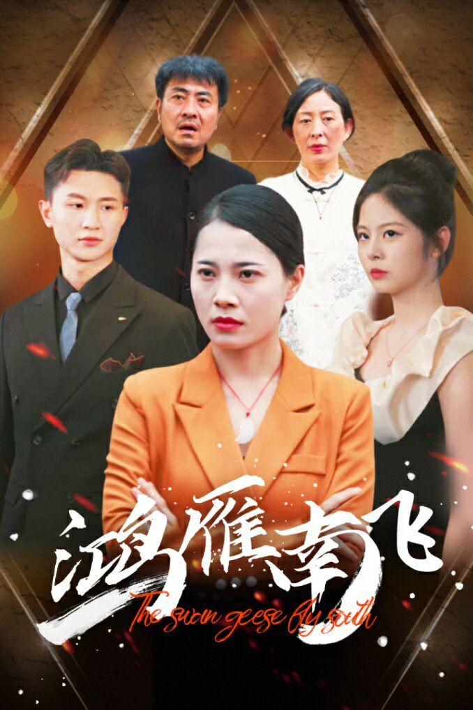 鸿雁南飞第21-40集