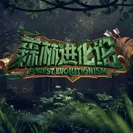 森林进化论20230716期