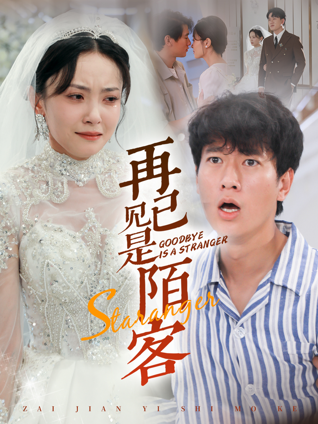 再见已是陌客第12集